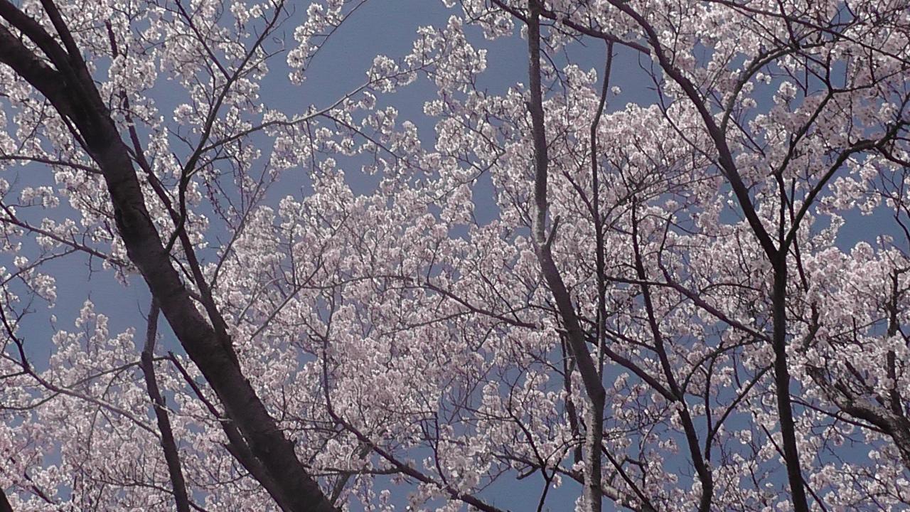 Готель Nikkoen Nishiwaki Екстер'єр фото